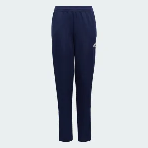 Kids' adidas Entrada 22 Training Pants