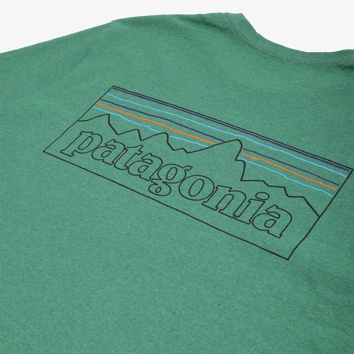 Limited Edition Patagonia P-6 Logo Responsibili-Tee T-Shirt  Last Few Pieces!