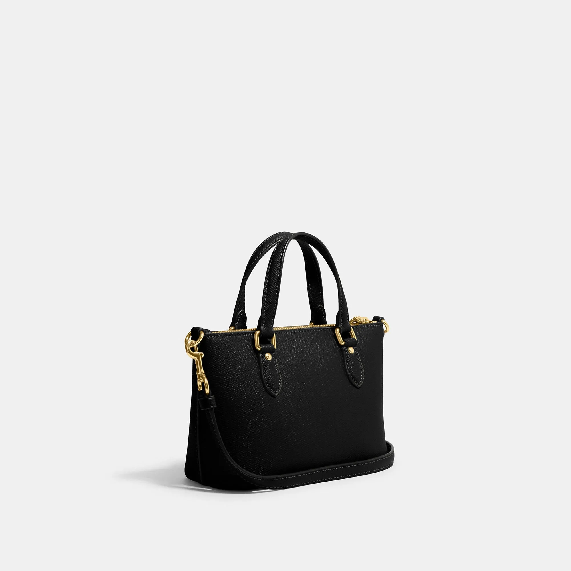 Reformation Coach Outlet Mini Gallery Crossbody