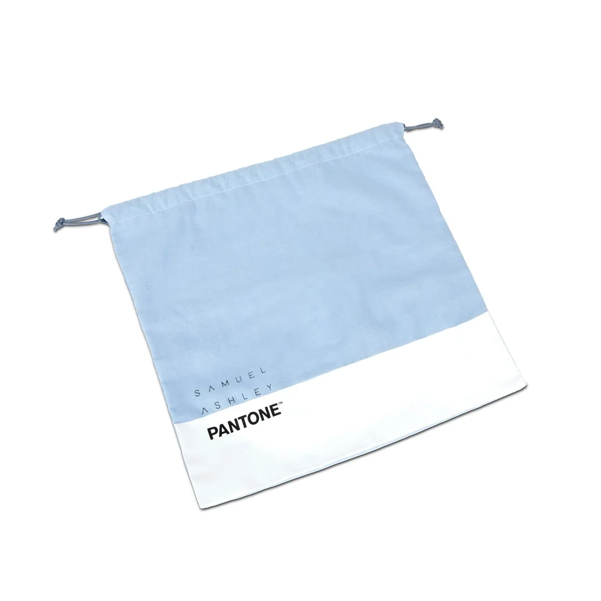 Samuel Ashley x Pantone Leather Satchel Bag